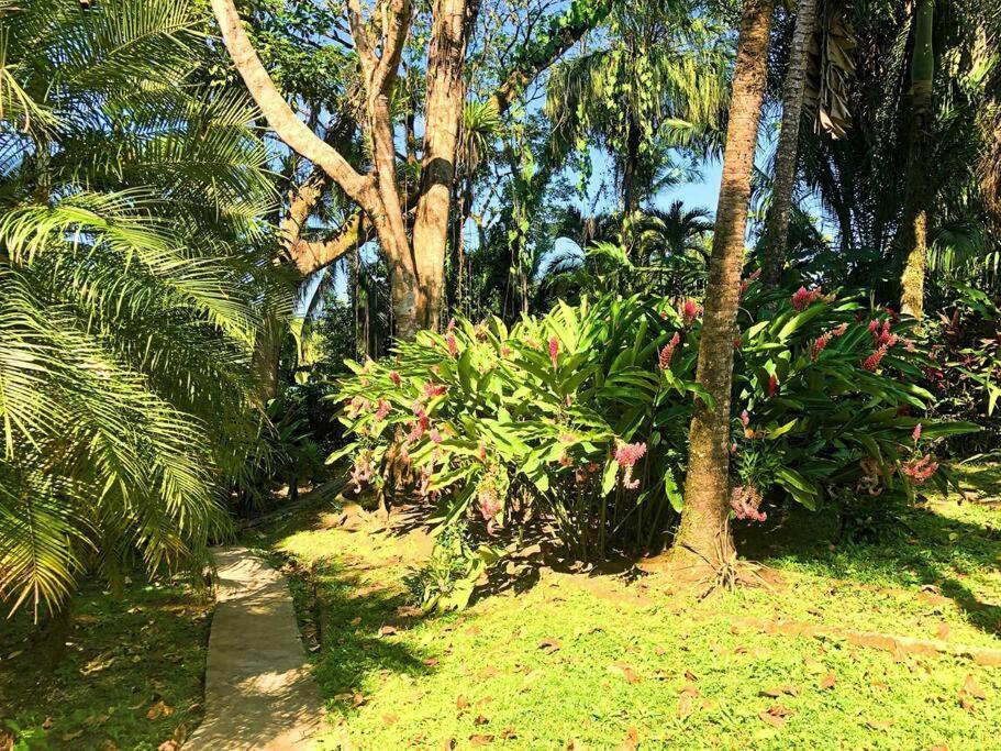 Villa Del Idaan ボカス・タウン エクステリア 写真