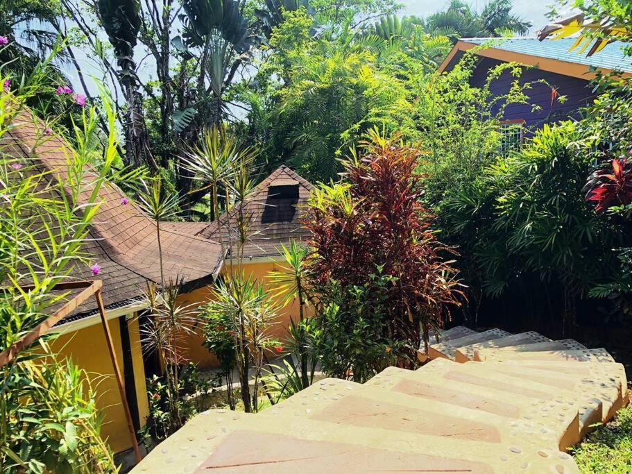 Villa Del Idaan ボカス・タウン エクステリア 写真