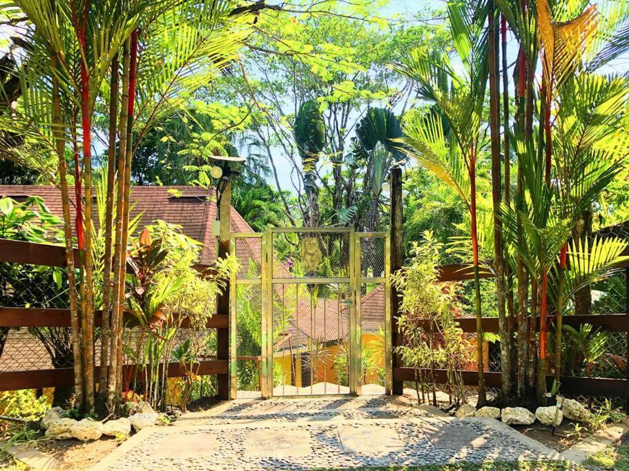 Villa Del Idaan ボカス・タウン エクステリア 写真